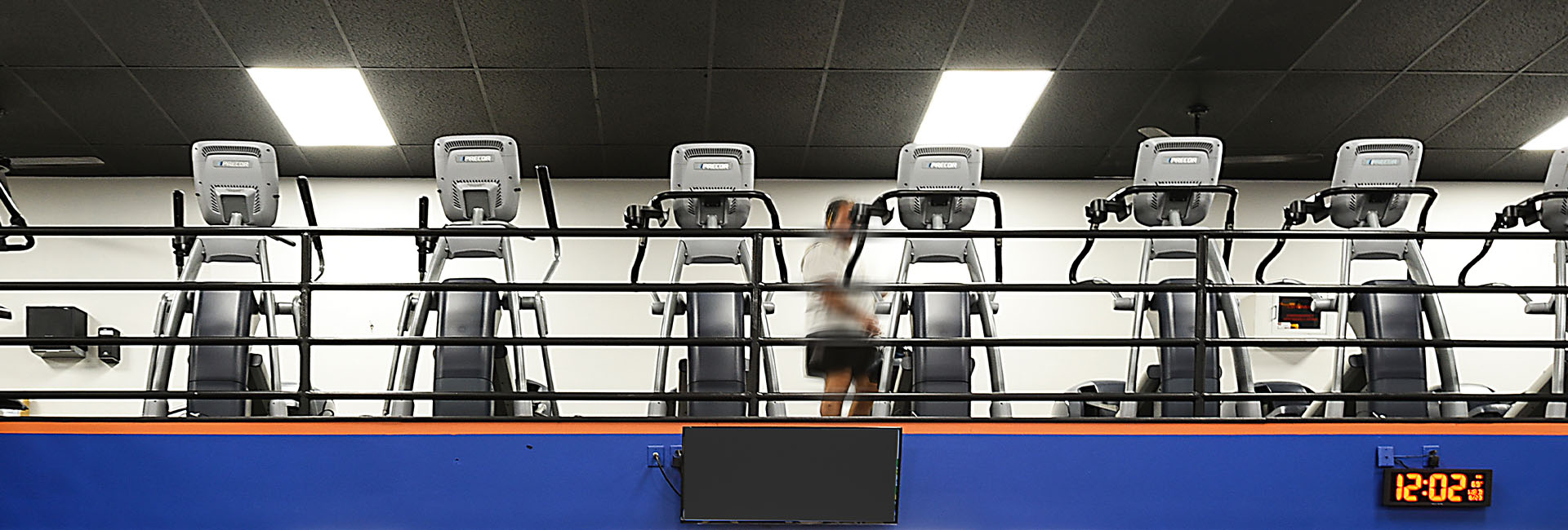 rows of treadmills and cardio equipment